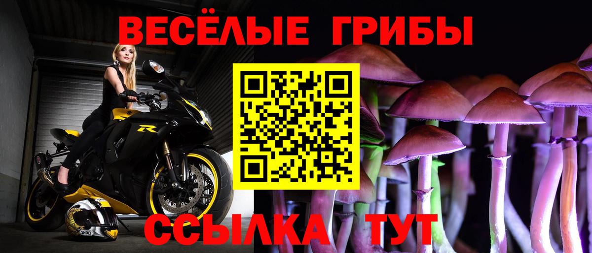 Псилоцибиновые грибы Psilocybe  Вход с VPN  Псилоцибиновые грибы Psilocybine cubensis  продажа наркотиков  Лениногорск 